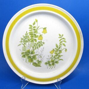 Chadds Ford Spring Meadow Stoneware 10 3/4" Dinner Plate